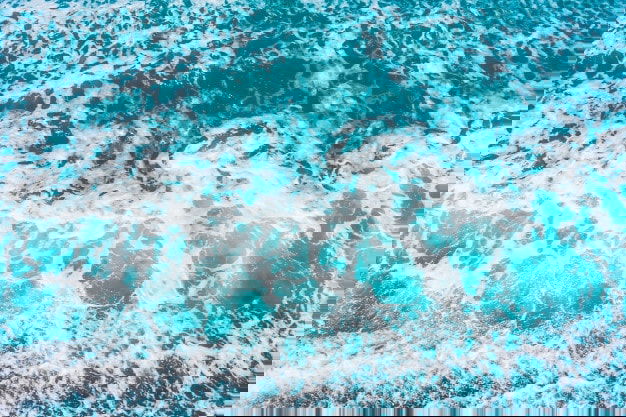 The Wellness Economy