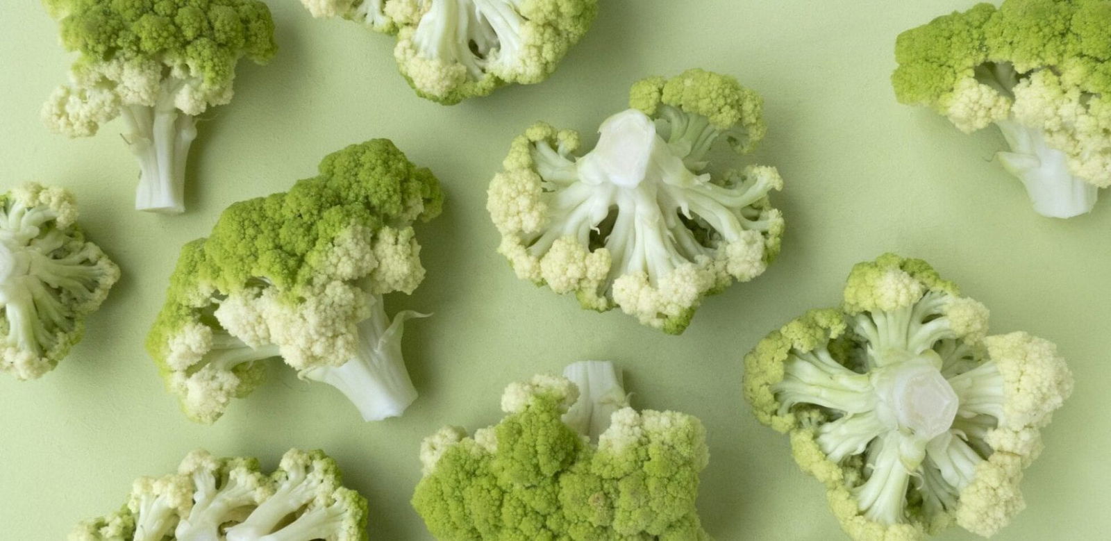 You are what you eat.