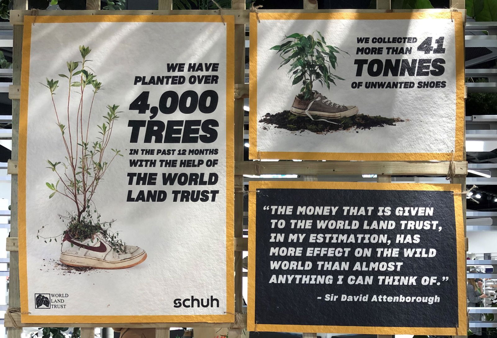 David Attenborough Quote