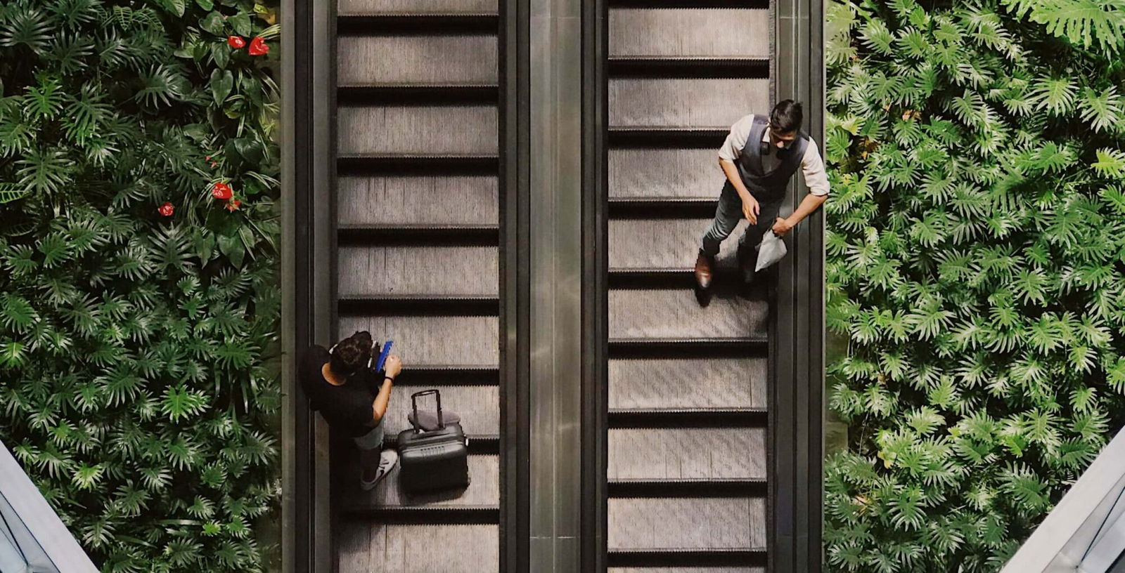 Rewilding Retail with Biophilic Design