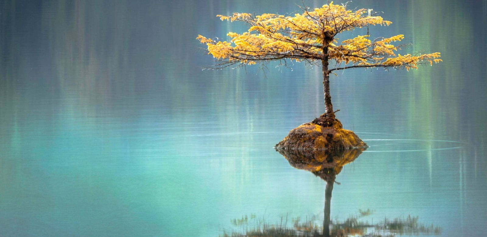 What Are Retail Rituals